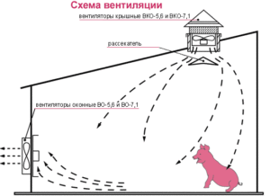 System bezkierunkowy